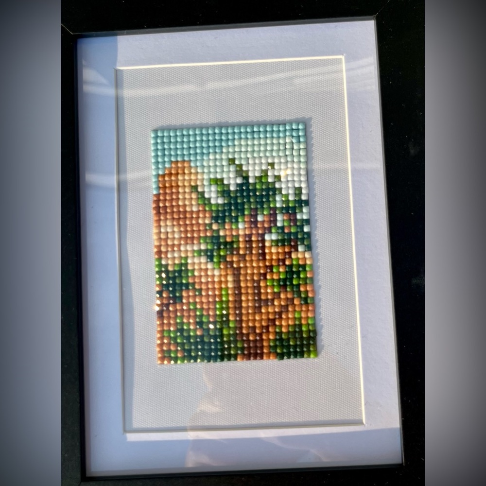 National Park: Joshua Tree Diamond Art- Finished and Framed